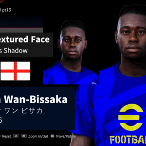 Aaron Wan-Bissaka