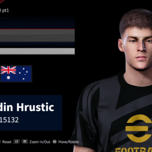 Ajdin Hrustic