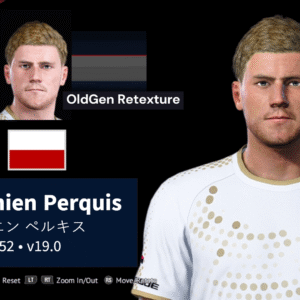 Damien Perquis