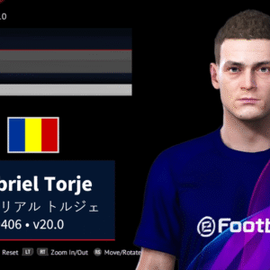 Gabriel Torje