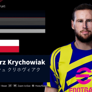 Grzegorz Krychowiak