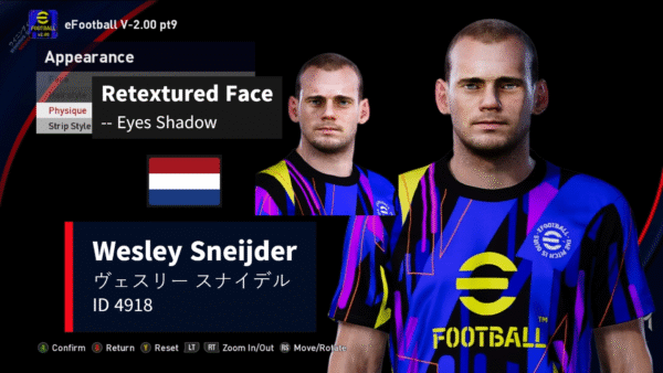 Wesley Sneijder
