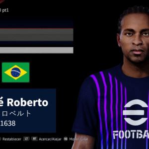 Zé Roberto