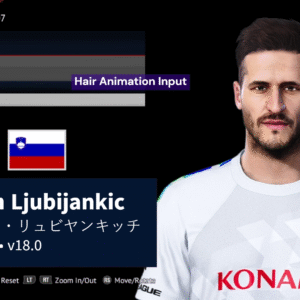 Zlatan Ljubijankic